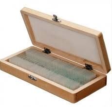 CAJA HISTOLOGICA DE MADERA PARA  50 PORTAOBJETOS