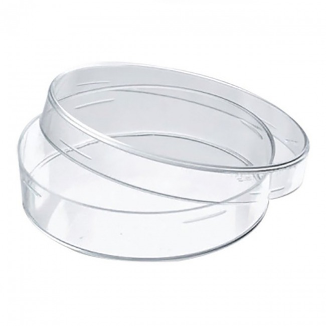 CAJA PETRI    150 X 30 MM DE VIDRIO